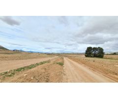 Parcela en Venta en Jumilla, Murcia