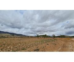 Parcela en Venta en Jumilla, Murcia