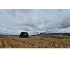 Parcela en Venta en Jumilla, Murcia