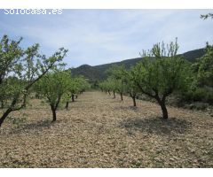 Parcela en Venta en Yecla, Murcia