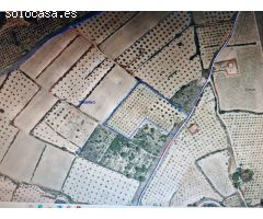 Parcela en Venta en Yecla, Murcia
