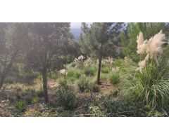 Parcela en Venta en Lloret de Mar, Girona
