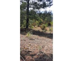 Parcela en Venta en Lloret de Mar, Girona