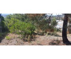 Parcela en Venta en Lloret de Mar, Girona