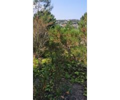 Parcela en Venta en Lloret de Mar, Girona