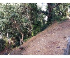 Parcela en Venta en Lloret de Mar, Girona