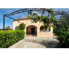 OPORTUNIDAD DE CAMPO EN LLANO VERDE