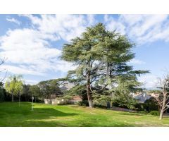 Terreno en Las Rozas