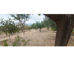 CHALET  CON 55.000 MT A 2 KM DE JIJONA