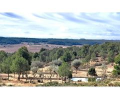 Finca rustica en Venta en Requena de Campos, Valencia