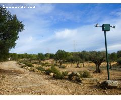 Finca rustica en Venta en Requena de Campos, Valencia