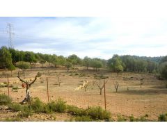 Finca rustica en Venta en Requena de Campos, Valencia