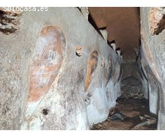 Casa para restaurar con amplia cueva bodega con tinajas.