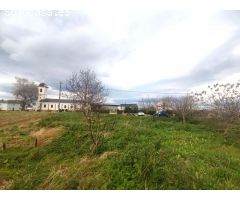 PARCELA EN TOL, CASTROPOL