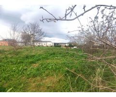 PARCELA EN TOL, CASTROPOL