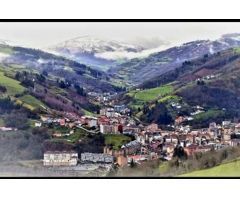 CASA A LA VENTA  EN LIMÉS, CANGAS DEL NARCEA