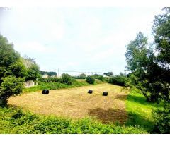 GRAN TERRENO URBANIZABLE EN SERANTES