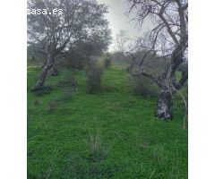 Parcela en Venta en Villalmóndar, Málaga