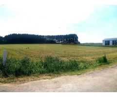 PARCELA EN LA ZONA DE CAMPOS, TAPIA DE CASARIEGO