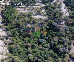 13 parcelas únicas de 2.000m² cada una por 130.000€