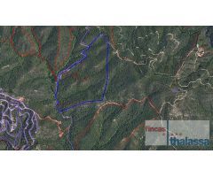 Parcela en Venta en Lloret de Mar, Girona