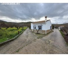 ???? SE VENDE FINCA EN CASTILLO DE LOCUBÍN – CASA REFORMADA, PISCINA Y ÁRBOLES FRUTALES ????????