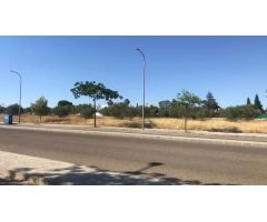 Terreno rural en Venta en Palomares del Río, Sevilla