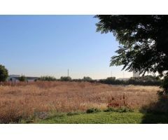 Parcela en Venta en Alcalá de Guadaira, Sevilla