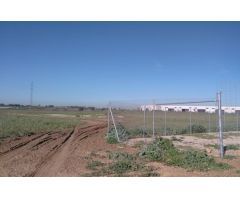 Parcela en Venta en Alcalá de Guadaira, Sevilla