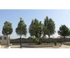 Oficina en Venta en Los Sevillanos, Sevilla