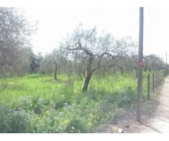 Parcela en Venta en Bollullos de la Mitación, Sevilla