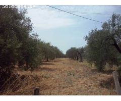 Parcela en Venta en Bollullos de la Mitación, Sevilla