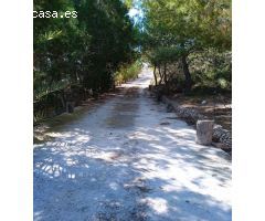 Vive la tranquilidad y la autosuficiencia en Los Valientes, Molina de Segura