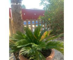 Amplio Chalet Familiar con Piscina Privada y Garaje en Molina de Segura