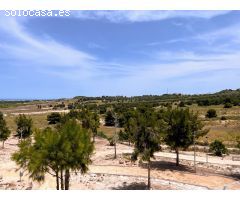 Chalet en Venta en San Miguel de Salinas, Alicante