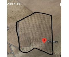 FINCA DE 15,8 HA. DE ALMENDROS Y PAULONIAS CON NAVE  EN YECLA