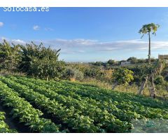 Finca rustica en Venta en Salobreña, Granada