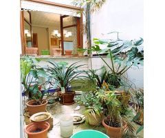 GRAN CASA EN PLENO CENTRO