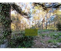 Chalet en Venta en Bocairent, Valencia