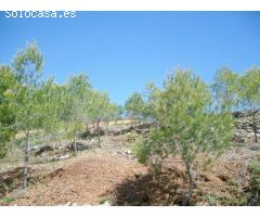 Terreno rural en Venta en Masllorenç, Tarragona