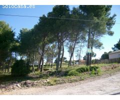 Solar en Venta en Cabra del Camp, Tarragona