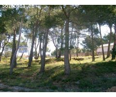 Solar en Venta en Cabra del Camp, Tarragona