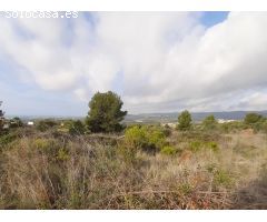 TERRENO URBANO A LA VENTA EN EL OASIS