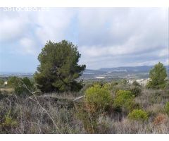 TERRENO URBANO A LA VENTA EN EL OASIS