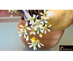 DESCUBRE TU NUEVO HOGAR EN BLANES!!