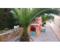 Chalet en Venta en Benillup, Alicante