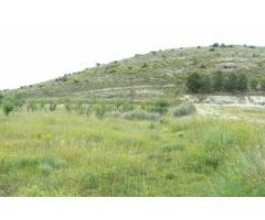 Terreno rural en Venta en Monovar - Monover, Alicante