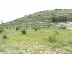 Terreno rural en Venta en Monovar - Monover, Alicante