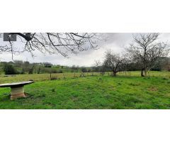CASA DE CAMPO CON AMPLIA FINCA EN RIOTUERTO