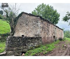 CASA RURAL CON CABAÑA Y FINCA EN SELAYA
